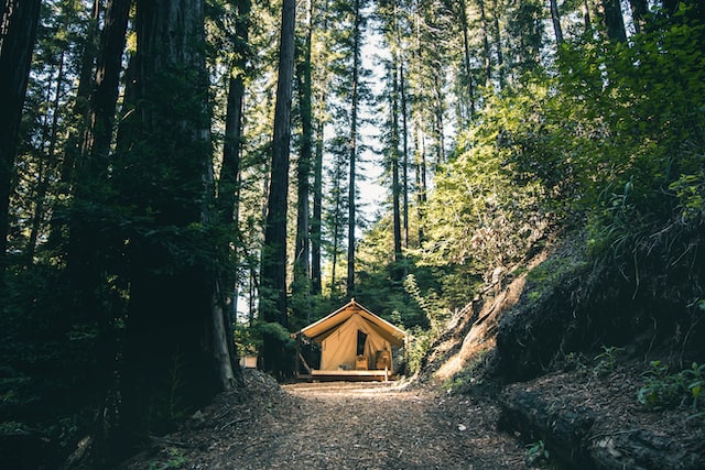 Cabane dans les bois, glamping